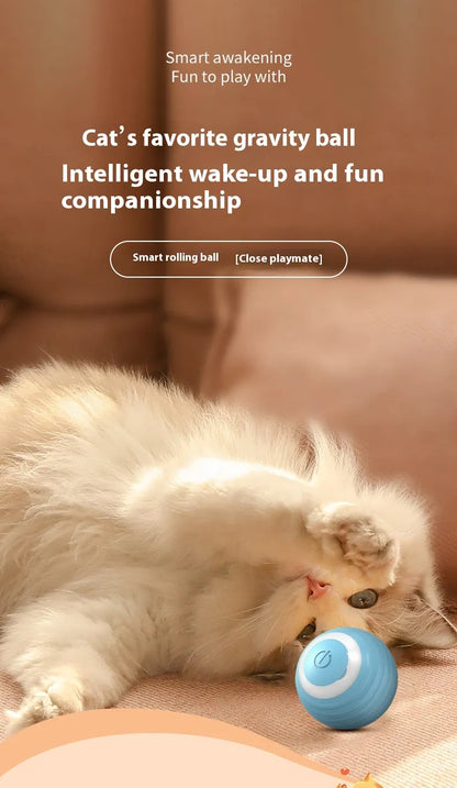 Interactive Smart Ball